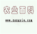 記團(tuán)建活動(dòng)有感500字