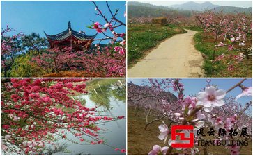 平谷桃花海1天團建拓展活動方案