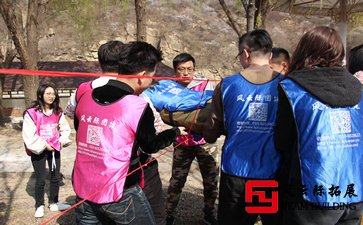  團隊拓展訓練心得體會500字-1000字五篇