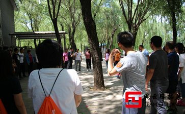  企業(yè)團(tuán)隊建設(shè)訓(xùn)練感想五篇