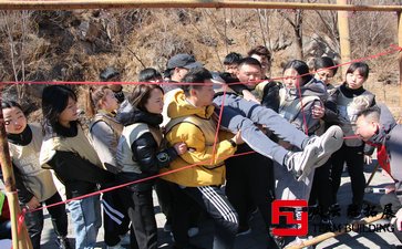 公司團隊的拓展感想500字-1000字五篇