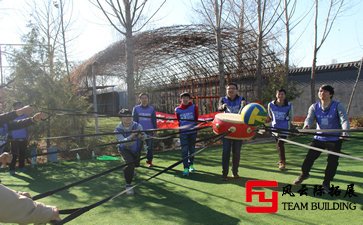 拓展訓練心得團隊精神五篇