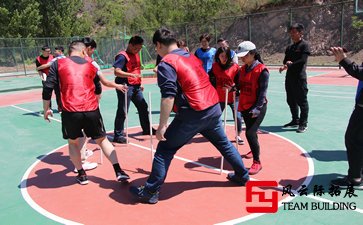 拓展訓(xùn)練：互相信任、團(tuán)結(jié)協(xié)作五篇