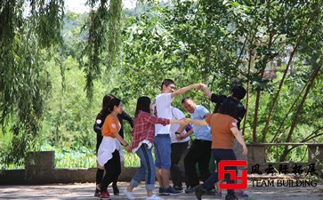 拓展訓練體現(xiàn)出團隊互助的偉大力量五篇