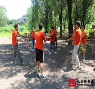 素質(zhì)拓展活動心得體會-凝聚團隊力量，提升職業(yè)素養(yǎng)