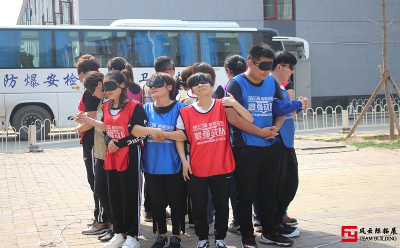 拓展訓練考驗團隊協(xié)合力五篇