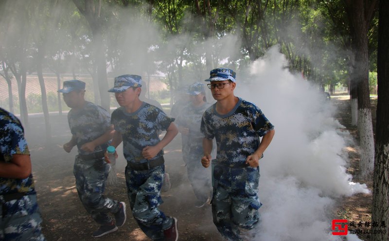 軍訓心得總結800字